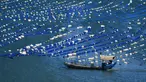 Foto yang diabadikan pada 10 November 2020 ini menunjukkan sebuah perahu nelayan berlayar di kawasan budi daya akuakultur di Wilayah Lianjiang, Provinsi Fujian, China tenggara. (Xinhua/Wei Peiquan)