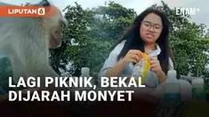 Selalu waspada dimanapun berada, karena pencurian bisa saja dilakukan selain oleh manusia. Seperti wanita berikut ini yang sedang asyik piknik di tepi pantai. Momen pikniknya seketika dikejutkan dengan kehadiran monyet hingga membuat wanita itu kabur...
