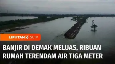 Banjir di Kabupaten Demak, Jawa Tengah, semakin meluas ke 88 desa di 11 kecamatan. Intensitas hujan yang tinggi membuat sejumlah tanggul di Sungai Wulan jebol. Dan merendam lebih dari 12 ribu rumah warga dengan ketinggian di sejumlah tempat hingga 3 ...
