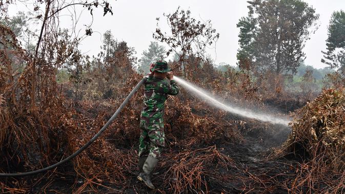 Prajurit TNI berusaha memadamkan kebakaran hutan dan lahan di Kabupaten Kampar, Provinsi Riau (12/9/2019). Kebakaran hutan yang terjadi membuat kekhawatiran tentang dampak meningkatnya wabah api di seluruh dunia pada pemanasan global. (AFP Photo/Adek Berry)