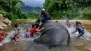 Pawang dan anak-anak memandikan gajah jinak di sungai kawasan Conservation Response Unit (CRU) Desa Naca, Trumon Tengah, Aceh Selatan, Jumat (19/6/2020). BKSDA Aceh memiliki 32 ekor gajah jinak untuk melakukan penggiringan gajah liar yang memasuki permukiman penduduk. (CHAIDEER MAHYUDDIN/AFP)