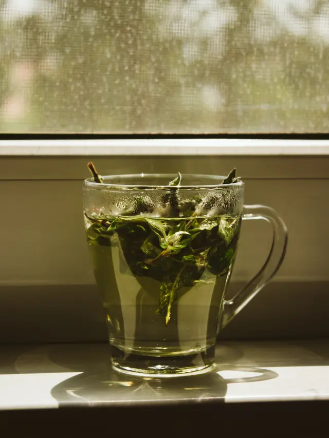 5 Bahaya Minum Teh Hijau Berlebihan, Bisa Tingkatkan Stres dan Kecemasan