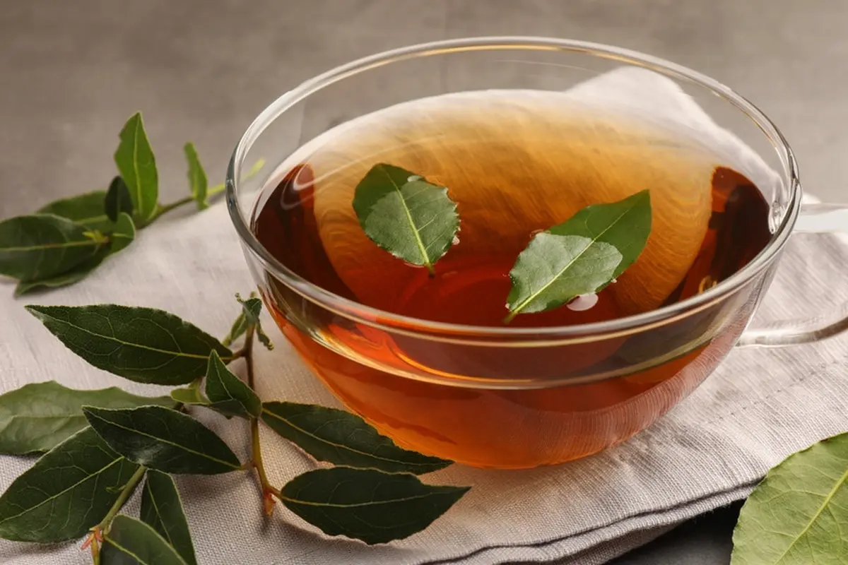 resep rebusan daun salam