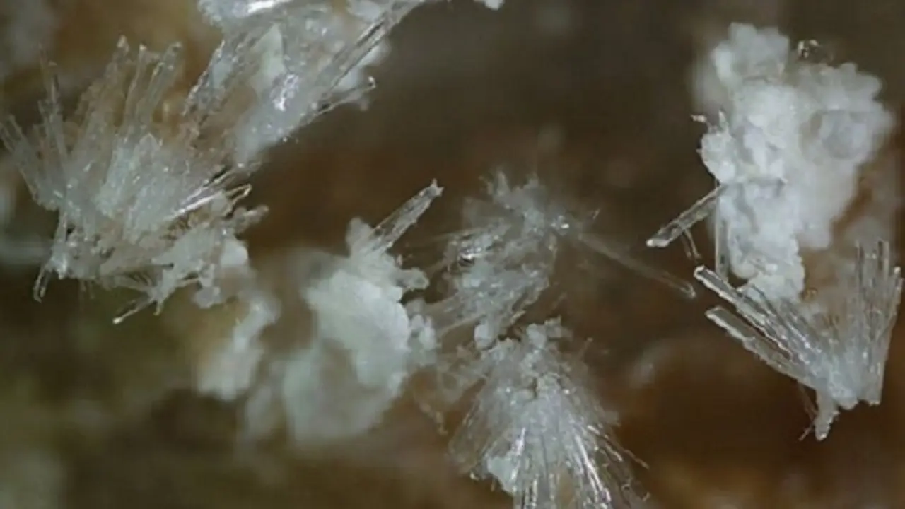 Kandungan Mineral jadi Alasan Bumi Layak Huni