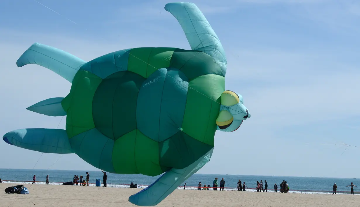 Layang-layang raksasa berbentuk kura-kura diterbangkan saat Festival Internacional del Viento (Festival Angin Internasional) di pantai Malvarrosa, di Valencia, Spanyol (23/4). (AFP/Jose Jordan)