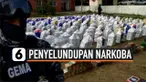 7 TON KOKAIN DIKEMAS DALAM TUNA KALENGAN, COBA DISELUNDUPKAN KE SPANYOL