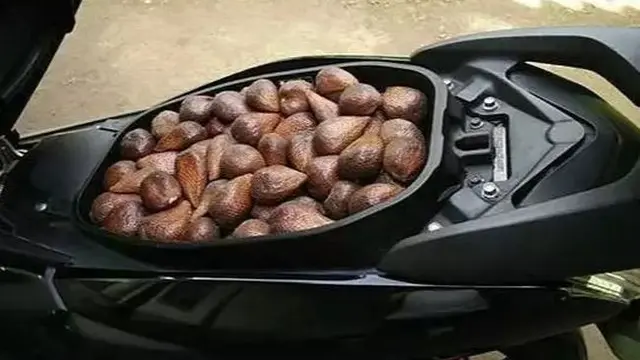 Kumpulan Potret Penyalahgunaan Jok Sepeda Motor yang Bisa Menginspirasi Anda (ist)