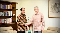 Momen akrab pertemuan Presiden Jokowi dengan PM Lee Hsien Loong di Istana Kepresidenan Singapura. (Foto: Biro Pers Sekretariat Presiden)