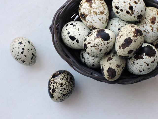 Telur puyuh dalam wadah (pixabay)