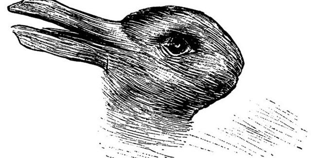 Bebek atau kelinci?/copyright themindsjournal.com