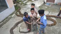 Nyaris tiap hari, anak-anak ini bermain dengan ular, di sela kesibukannya mengaji. (Foto: Liputan6.com/Muhamad Ridlo)