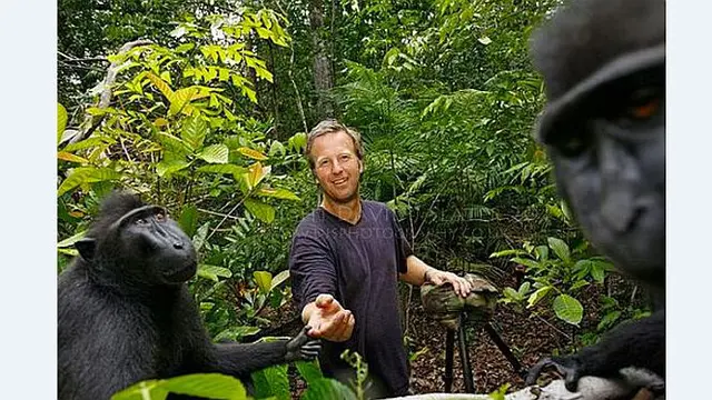 Wikipedia & Fotografer Ribut Soal Selfie Monyet