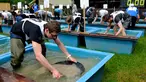 Seorang peserta bersaing mencari emas saat mengikuti kejuaraan Dunia Gold Panning Dirk Mehlhorn di Zlotoryja, Polandia, 28 Mei 2016. Kejuaraan tahunan di dekat Sungai Kaczawa ini diikuti penggali emas profesional dari seluruh dunia. (Piotr HAWALEJ/AFP)