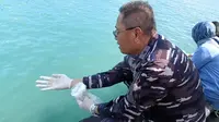 Pasutri Muda Coba Selundupkan Benur Senilai Rp29 M Lebih, Terciduk di Pelabuhan Merak