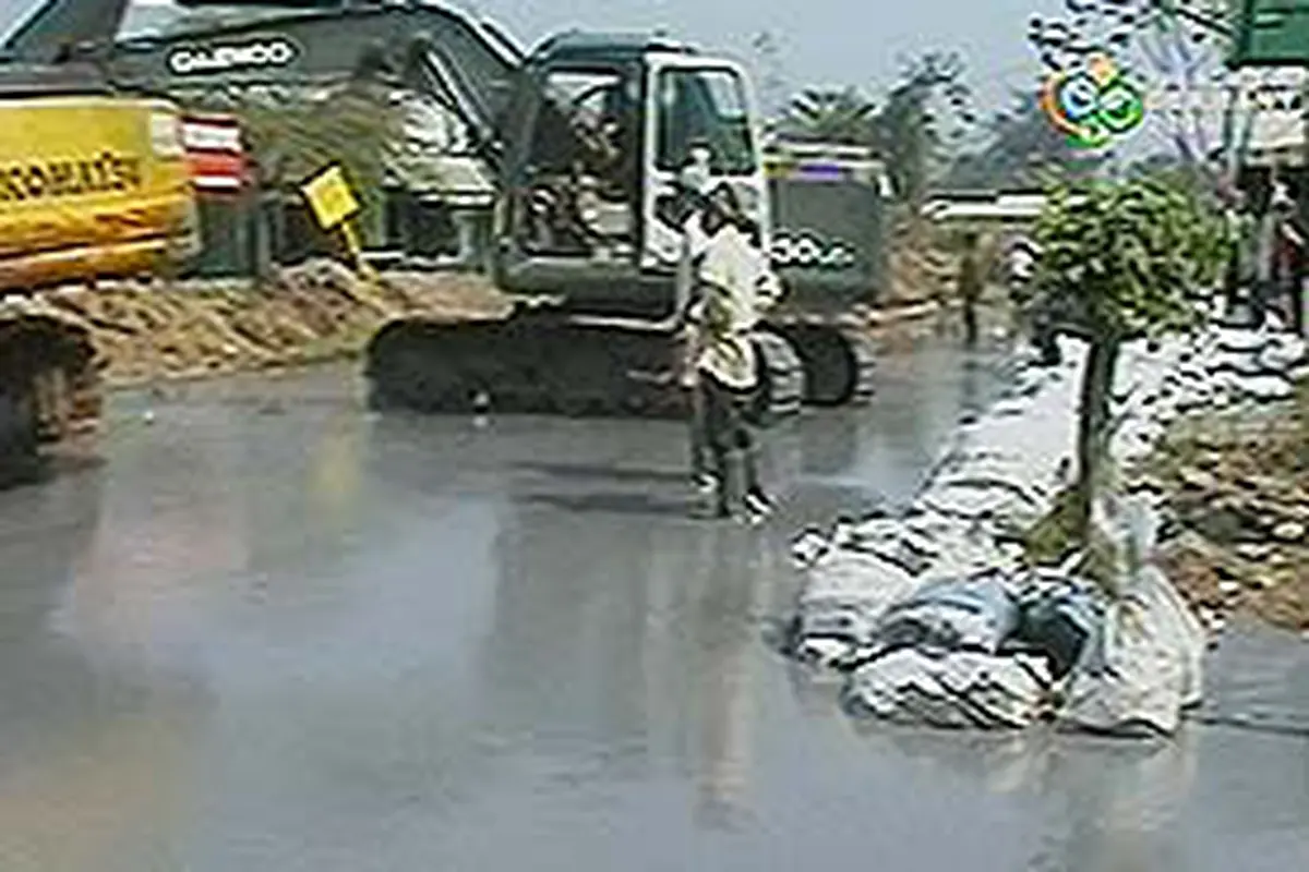 050706blumpur.jpg