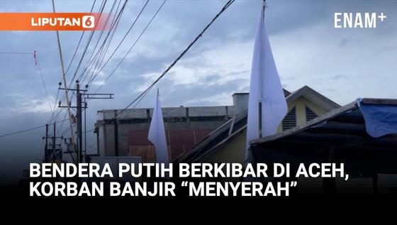 Bendera Putih Berkibar di Aceh, Simbol Keputusasaan Korban Banjir?