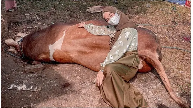 6 Momen Ria Ricis Rayakan Idul Adha, Terjun Langsung Menguliti Sapi Kurbannya