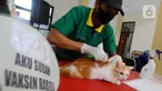 Petugas menyuntikkan vaksin rabies ke seekor kucing milik warga saat kegiatan Vaksinasi Rabies Massal Gratis se-Kota Depok di Kantor kecamatan Cinere, Depok, Jawa Barat, Sabtu (18/11/2023). (merdeka.com/ Arie Basuki)