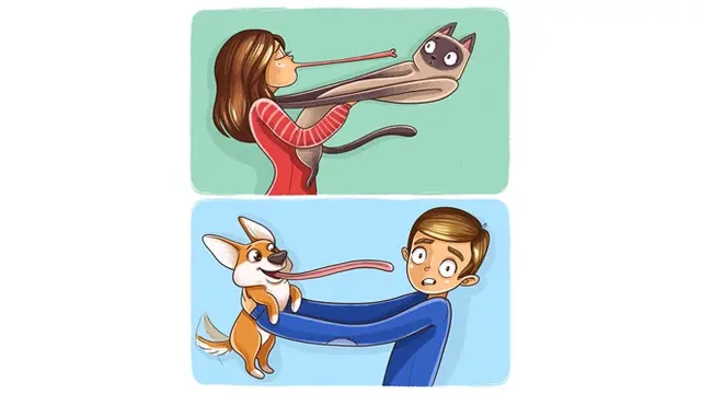 Bikin Greget, 6 Ilustrasi Ini Tunjukkan Beda Kucing dan Anjing Saat Bersama Manusia