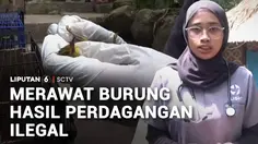 Rumah Sakit Burung Selamatkan Satwa Korban Perdagangan Ilegal