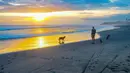 Pengunjung beraktifitas menikmati waktu senja Pantai pasut di Tabanan, Bali. Pantai Pasut di Desa Tibubiyu, Kecamatan Kerambitan, Kabupaten Tabanan, menjadi salah satu destinasi alam yang layak dikunjungi saat berada di Bali. (merdeka.com/Arie Basuki)