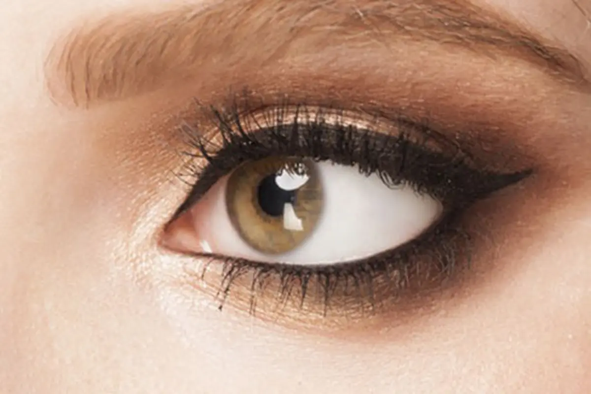 Copyright by Shutterstock.com