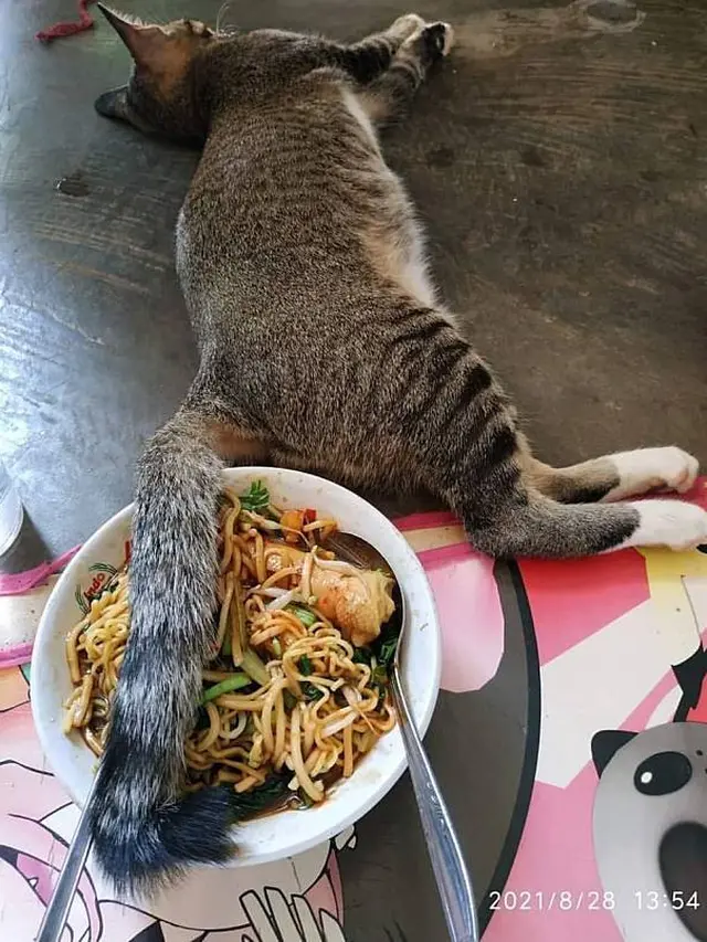 10 Momen saat Mau Makan Mi Ini Apes Banget, Bikin Geregetan