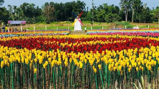 Unik, Kota Ini Ubah Sampah Plastik Jadi Taman Bunga Indah