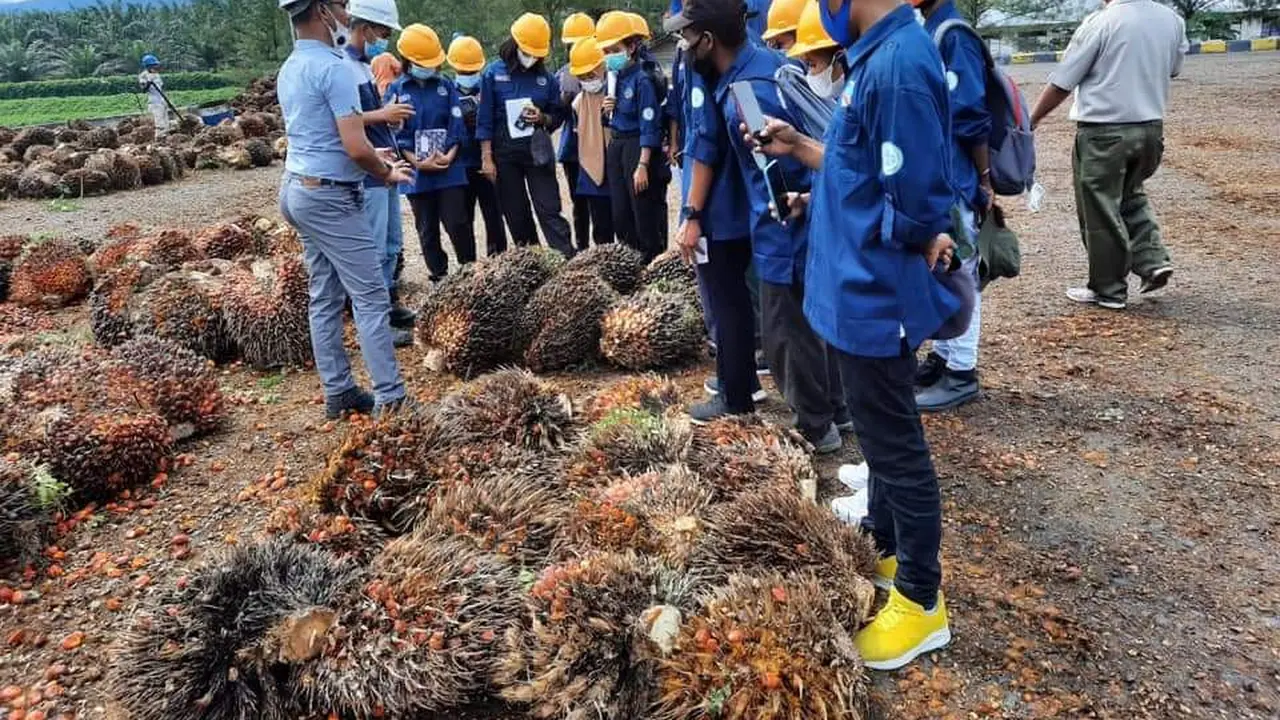 Kementan dan Best Planter Indonesia Siap Cetak Asisten Unggul Perkebunan Kelapa Sawit