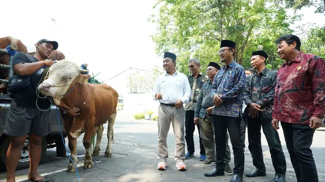 Momen Idul Adha, SIG Sebar 237 Hewan Kurban ke 20 Provinsi