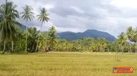 `Ramuan` Cinta Indonesia dalam 6 Komposisi