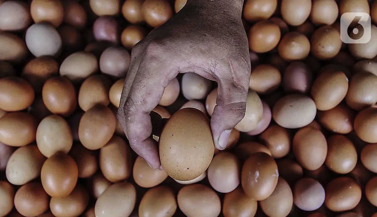 Penjual menunjukkan telur ayam yang dijual di toko kawasan Cirendeu, Jakarta Selatan, Selasa (7/6/2022). Harga telur ayam kini masih terbilang tinggi bahkan hampir mencapai Rp 30 ribu per kg. (Liputan6.com/Johan Tallo)