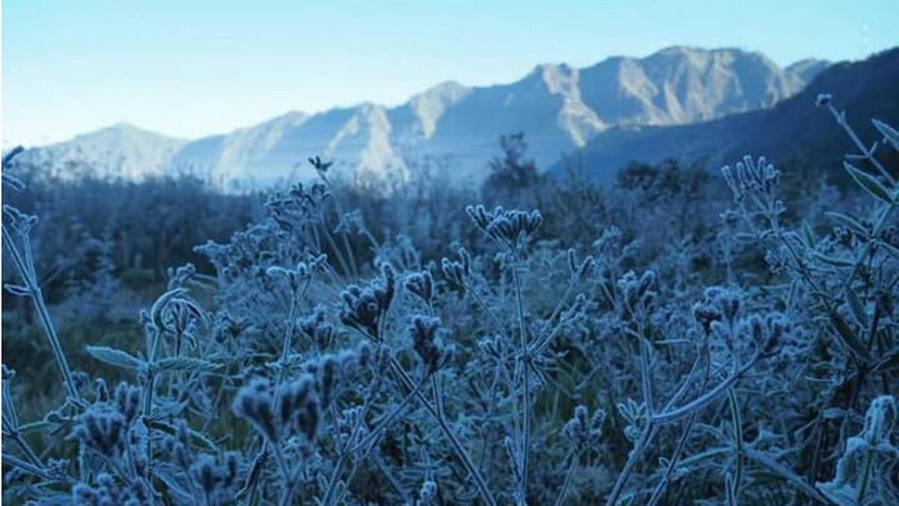 Fenomena embun es di kawasan Gunung Bromo (Istimewa)
