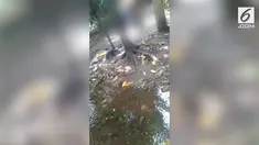 Zaki bocah berusia 5 tahun di tuduh mencuri uang oleh kakeknya.  Zaki di hukum telanjang kemudian diumpankan ke monyet. 