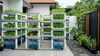 8 Ide Kebun Hidroponik di Halaman Belakang dengan Sistem Sirkulasi Otomatis: Tampilan Bersih, Rapi, dan Elegan