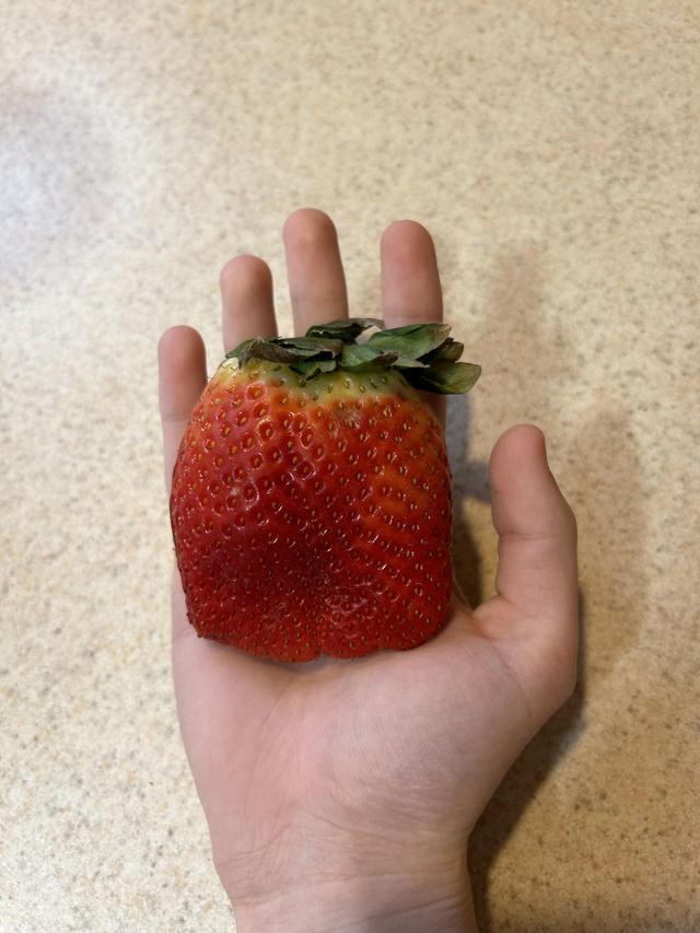 6 Bentuk Stroberi Ini Unik Banget, Bikin Terheran Heran