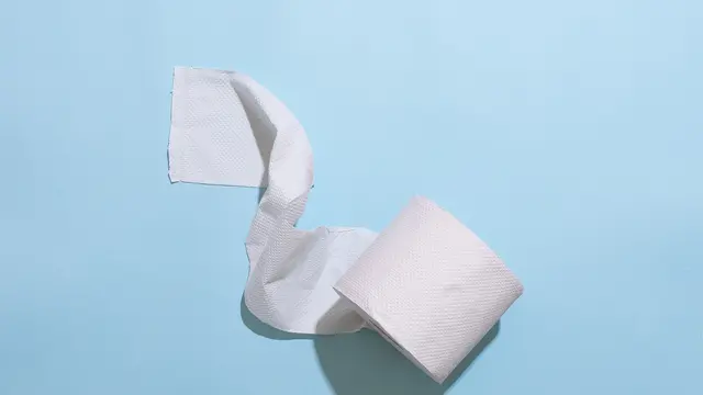 Ilustrasi Tisu Toilet