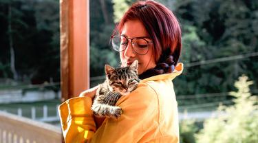 Ilustrasi Memelihara Kucing