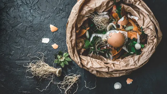 Bioteknologi Adalah Teknologi Pemanfaatan Makhluk Hidup, Ini Jenis dan Penerapannya