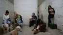 Serangan Iran juga menyebabkan kerusakan parah pada sejumlah bangunan tempat tinggal serta gangguan pada jaringan infrastruktur di beberapa wilayah di Israel. Tampak dalam foto, para pekerja salon anjing berlindung bersama anjing-anjing mereka di tempat perlindungan bom saat sirene serangan udara memperingatkan akan datangnya serangan rudal Iran di Ramat Gan, Israel, Rabu, 25 Maret 2026. (AP Photo/Oded Balilty)