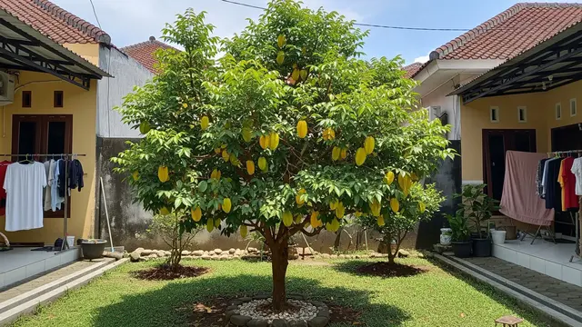 Pohon Buah yang Tidak Membuat Tetangga Khawatir karena Akarnya Terkendali