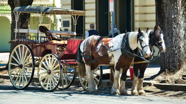 Arti Mimpi Naik Delman bersama Orang Terkasih