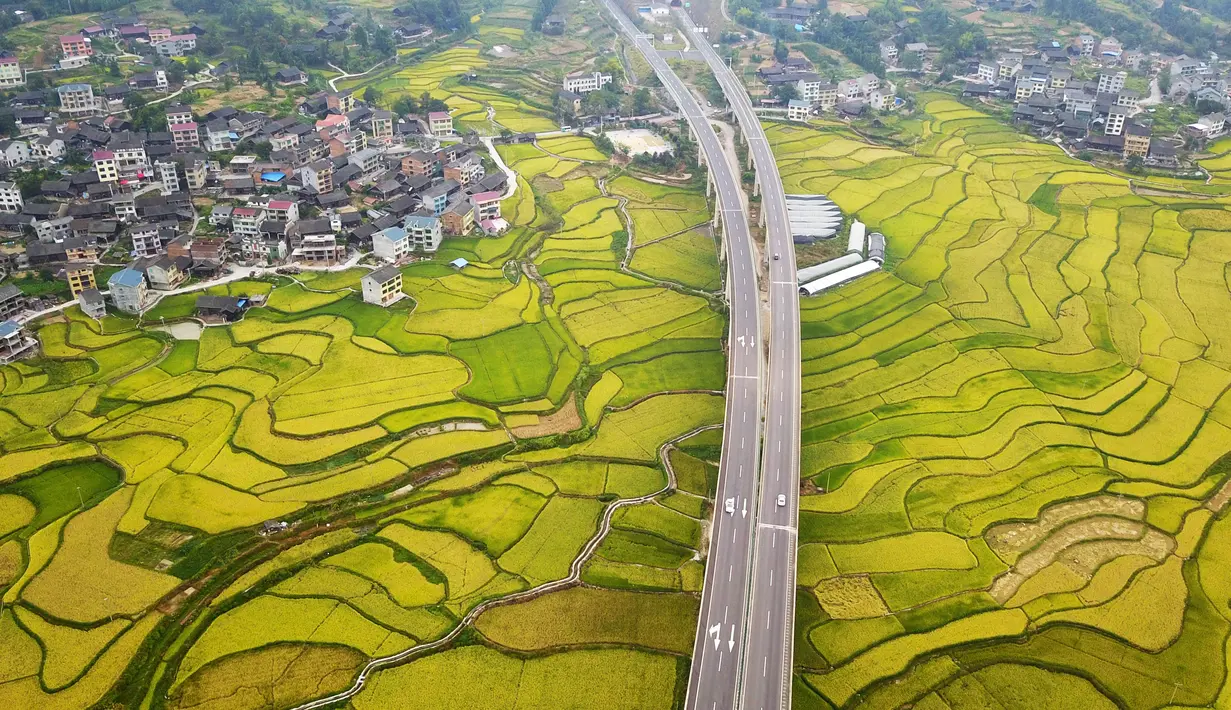Foto hasil bidikan dari udara yang diabadikan pada 2 September 2020 ini menunjukkan petak-petak sawah di Desa Shanghua di Kota Gaoniang, Wilayah Tianzhu, Prefektur Otonom Etnis Miao dan Dong Qiandongnan, Provinsi Guizhou, China barat daya. (Xinhua/Yang Wenbin)