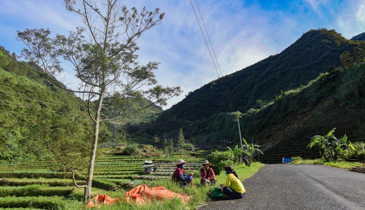 Selain itu, kawasan ini memiliki deretan pegunungan yang luas hingga hamparan persawahan, mirip dengan Alpen di Eropa. (merdeka.com/Arie Basuki)