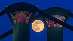 Fenomena Super Snow Moon terjadi, Selasa (19/2/2019). Super Snow Moon merupakan fenomena Supermoon, yakni kondisi saat Bulan berada pada jarak terdekatnya dengan Bumi. Penampakan piringan mencapai 14 persen lebih besar dan 30 persen lebih terang dari biasanya. (Frank Rumpenhorst/dpa via AP)
