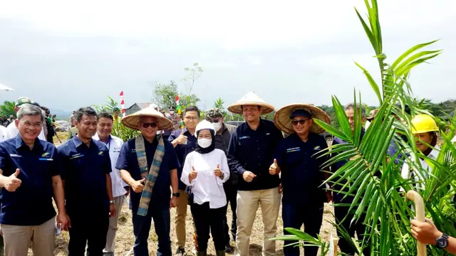 Holding Perkebunan Nusantara PTPN III (Persero) memulai proses budidaya kelapa sawit di wilayah Kabupaten Enrekang, Sulawesi Selatan.