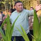 Direktur Jenderal Perkebunan Kementerian Pertanian, Andi Nur Alamsyah.  (Liputan6.com/Istimewa)