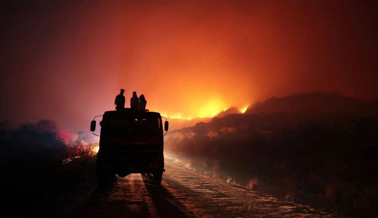 Sedikitnya 16.000 hektar hutan dan lahan ludes terbakar. (STRINGER/AFP)