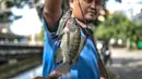 Warga menunjukkan ikan hasil memancing di Kali Ancol, Jakarta Utara, Kamis (11/3/2021). Kali Ancol menjadi wisata alternatif warga, terutama bagi yang hobi memancing untuk menghabiskan waktu liburan. Selain orang dewasa, sejumlah anak-anak pun terlihat asyik memancing di Kali Ancol. (merdeka.com/Iqb