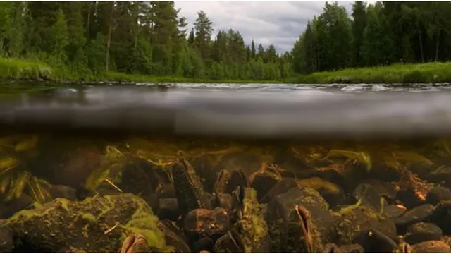 Foto: Natgeo/Michel Roggo